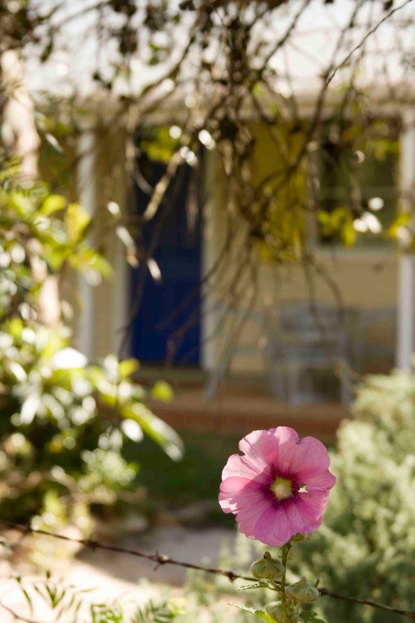 Amy'S House Bed & Breakfast Auburn Екстериор снимка