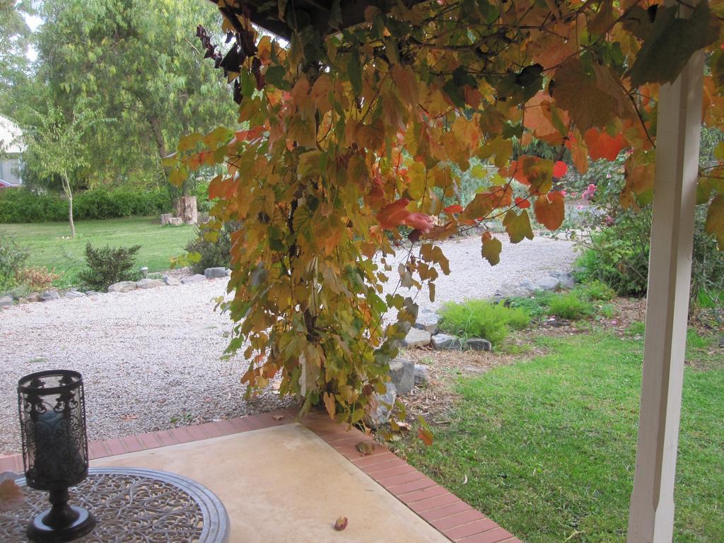 Amy'S House Bed & Breakfast Auburn Екстериор снимка