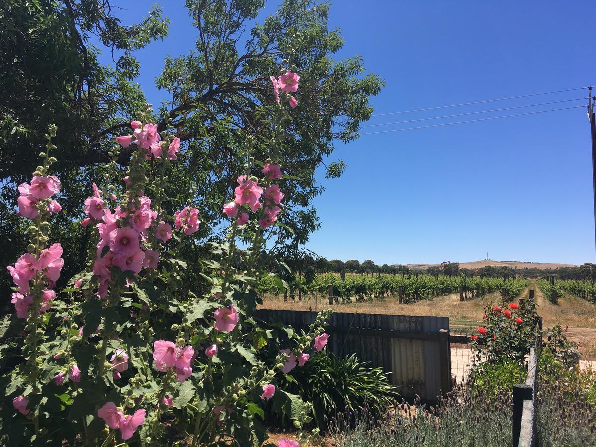 Amy'S House Bed & Breakfast Auburn Екстериор снимка