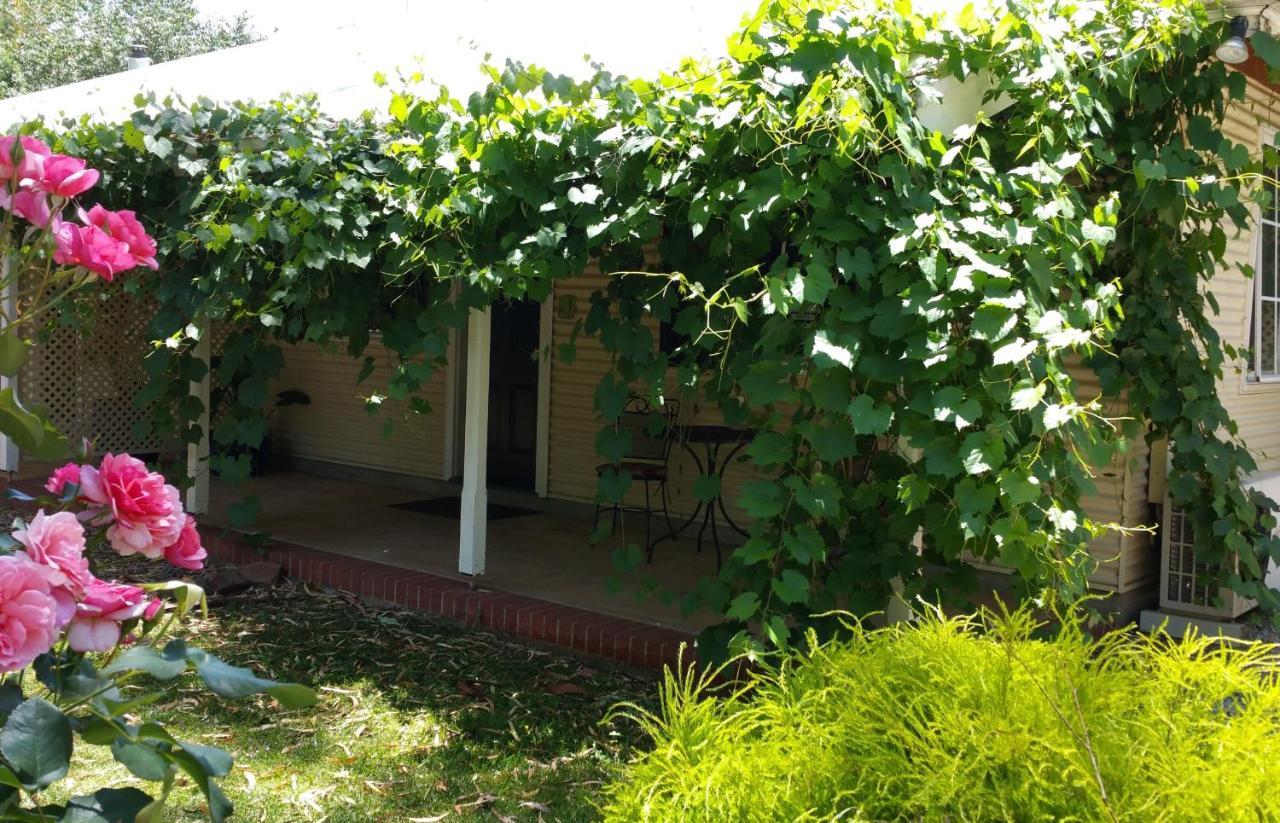 Amy'S House Bed & Breakfast Auburn Екстериор снимка